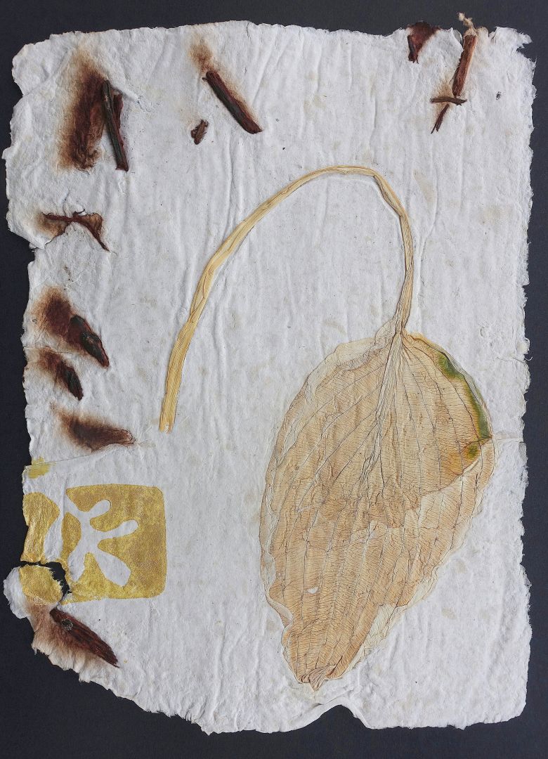 geneigtes-blatt