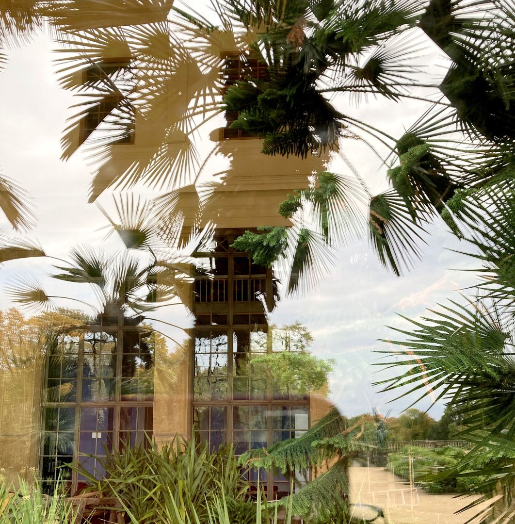palme-und-fenster